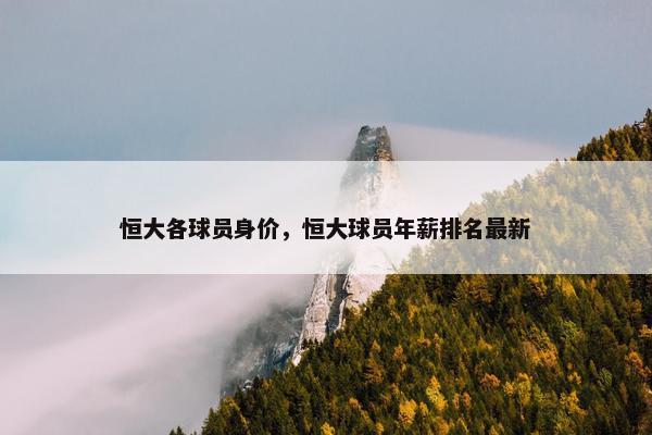 恒大各球员身价，恒大球员年薪排名最新