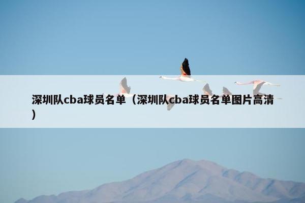 深圳队cba球员名单（深圳队cba球员名单图片高清）