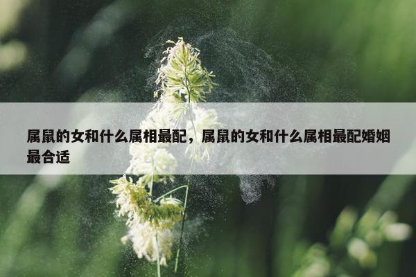 属鼠的女和什么属相最配，属鼠的女和什么属相最配婚姻最合适