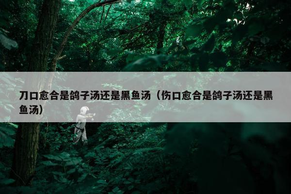 刀口愈合是鸽子汤还是黑鱼汤（伤口愈合是鸽子汤还是黑鱼汤）