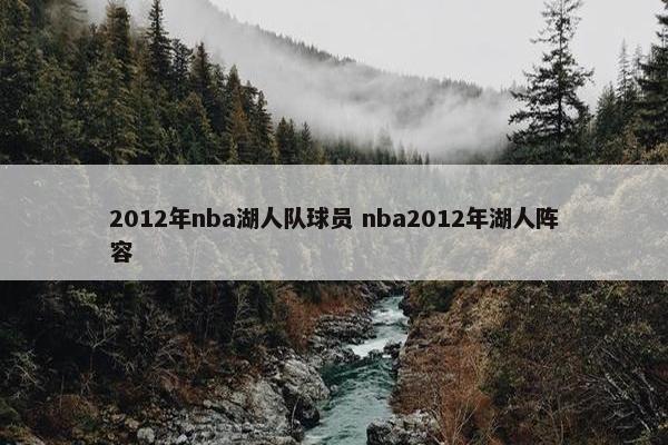 2012年nba湖人队球员 nba2012年湖人阵容