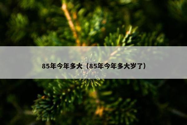 85年今年多大（85年今年多大岁了）