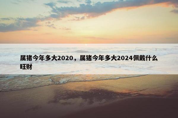 属猪今年多大2020，属猪今年多大2024佩戴什么旺财