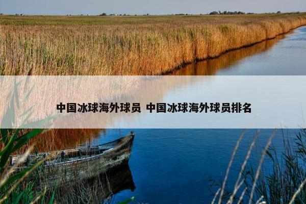 中国冰球海外球员 中国冰球海外球员排名