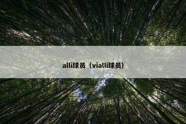 alli球员（vialli球员）