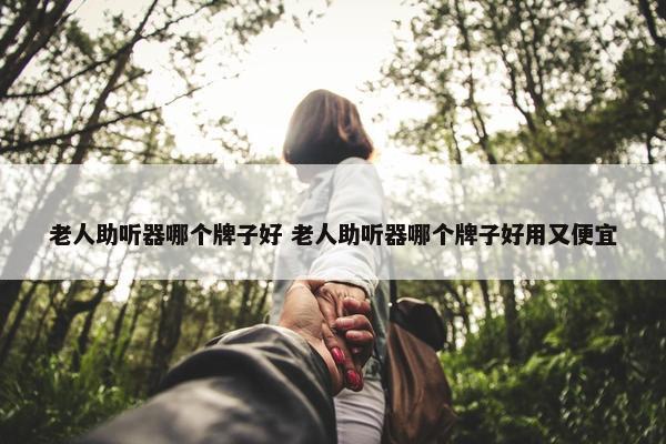 老人助听器哪个牌子好 老人助听器哪个牌子好用又便宜