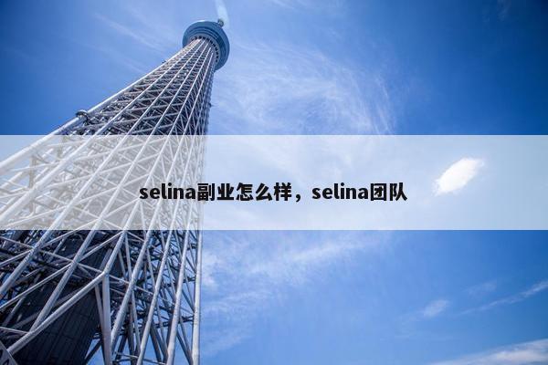 selina副业怎么样，selina团队