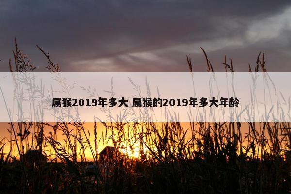 属猴2019年多大 属猴的2019年多大年龄