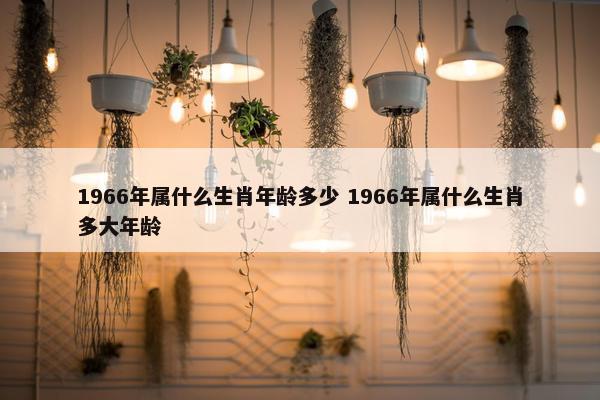 1966年属什么生肖年龄多少 1966年属什么生肖多大年龄