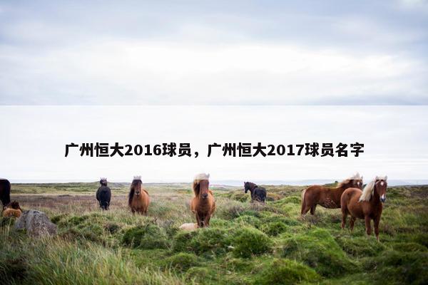 广州恒大2016球员，广州恒大2017球员名字