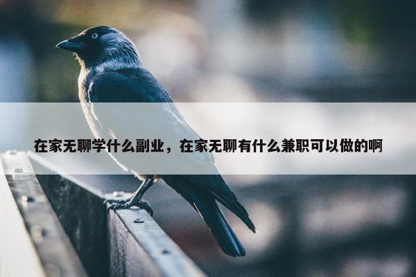 在家无聊学什么副业，在家无聊有什么兼职可以做的啊