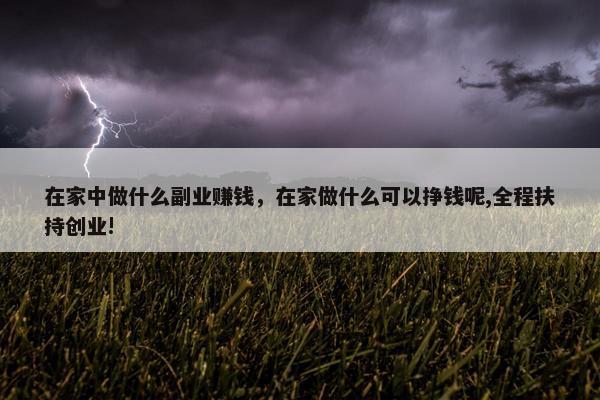 在家中做什么副业赚钱，在家做什么可以挣钱呢,全程扶持创业!