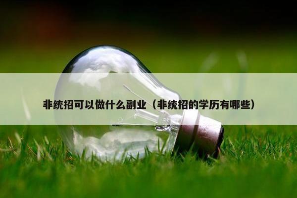 非统招可以做什么副业（非统招的学历有哪些）