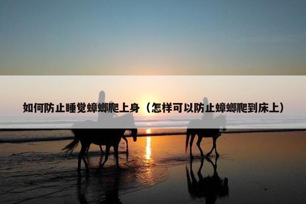 如何防止睡觉蟑螂爬上身（怎样可以防止蟑螂爬到床上）