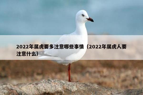 2022年属虎要多注意哪些事情（2022年属虎人要注意什么）