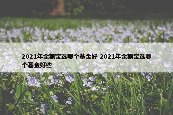 2021年余额宝选哪个基金好 2021年余额宝选哪个基金好些