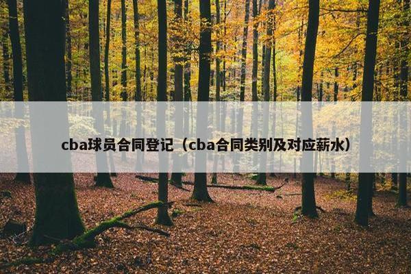 cba球员合同登记（cba合同类别及对应薪水）