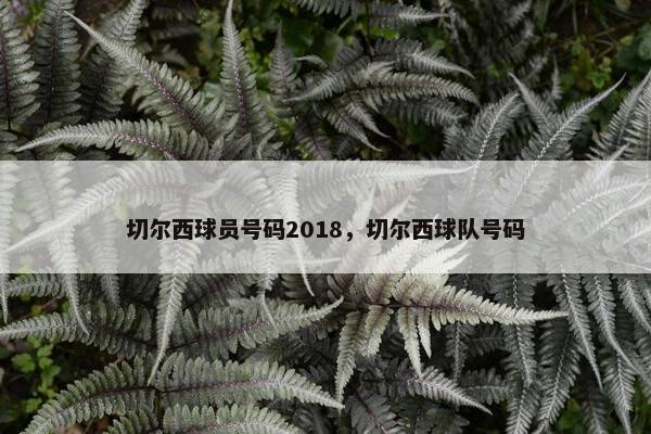 切尔西球员号码2018，切尔西球队号码