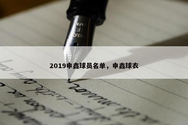 2019申鑫球员名单，申鑫球衣