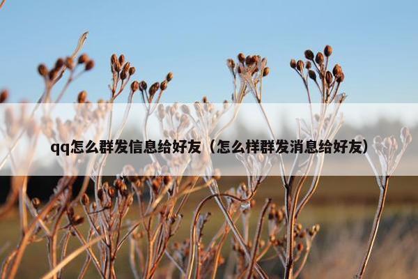 qq怎么群发信息给好友（怎么样群发消息给好友）