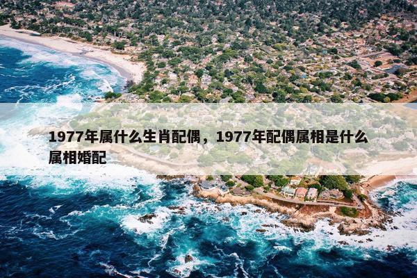 1977年属什么生肖配偶，1977年配偶属相是什么属相婚配