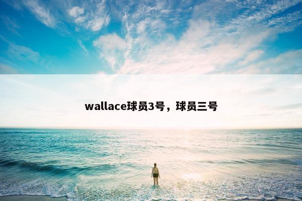 wallace球员3号，球员三号