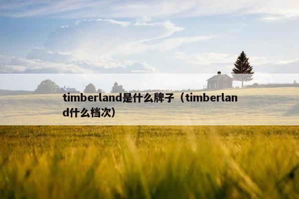 timberland是什么牌子（timberland什么档次）