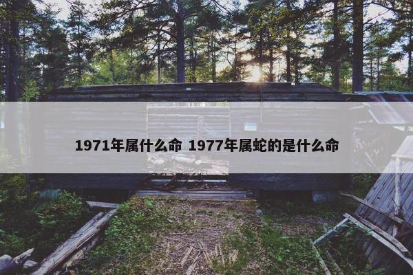 1971年属什么命 1977年属蛇的是什么命