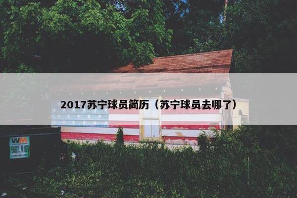 2017苏宁球员简历（苏宁球员去哪了）