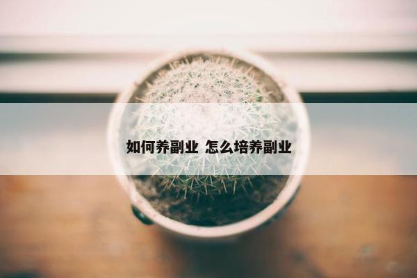 如何养副业 怎么培养副业