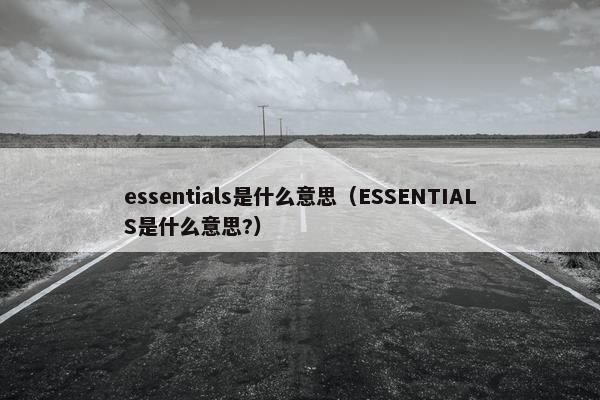 essentials是什么意思（ESSENTIALS是什么意思?）