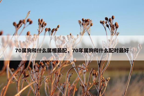 70属狗和什么属相最配，70年属狗和什么配对最好