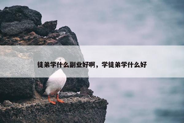 徒弟学什么副业好啊，学徒弟学什么好