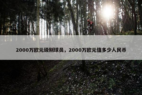 2000万欧元级别球员，2000万欧元值多少人民币