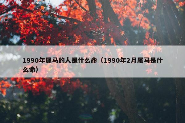 1990年属马的人是什么命（1990年2月属马是什么命）