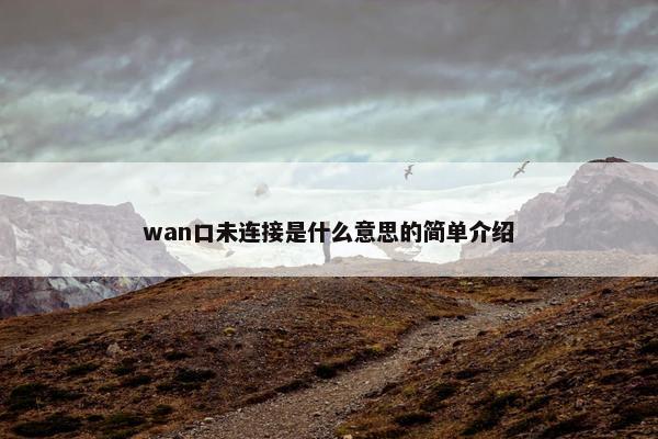 wan口未连接是什么意思的简单介绍