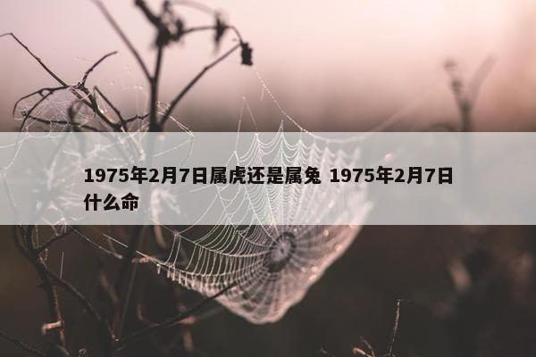 1975年2月7日属虎还是属兔 1975年2月7日什么命