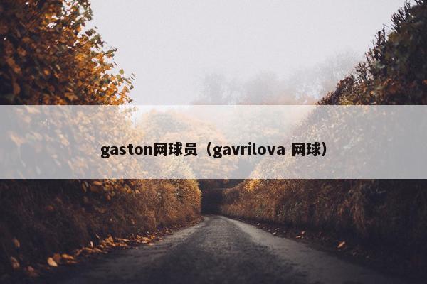 gaston网球员（gavrilova 网球）