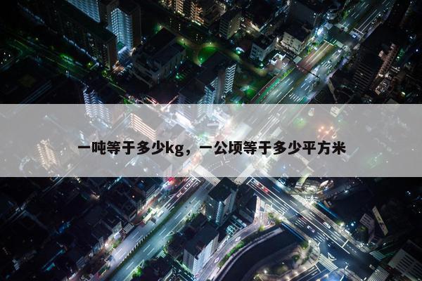 一吨等于多少kg，一公顷等于多少平方米