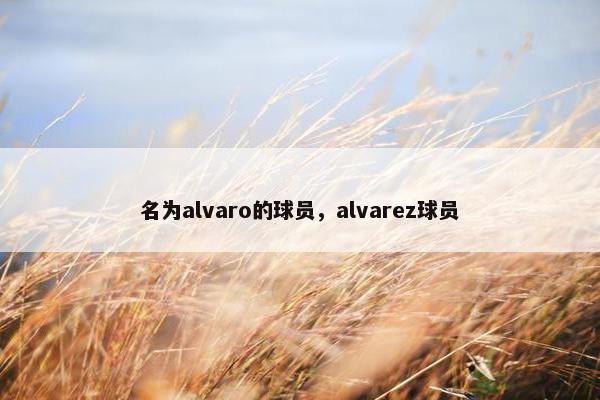 名为alvaro的球员，alvarez球员