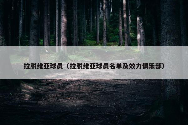 拉脱维亚球员（拉脱维亚球员名单及效力俱乐部）