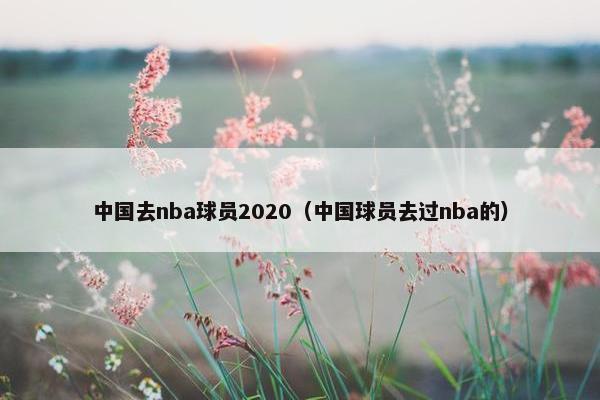 中国去nba球员2020（中国球员去过nba的）