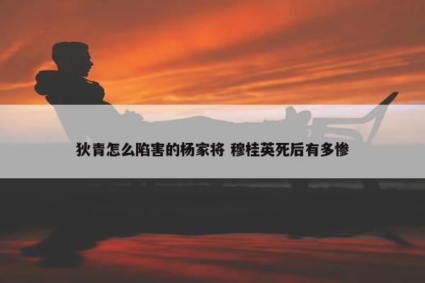 狄青怎么陷害的杨家将 穆桂英死后有多惨