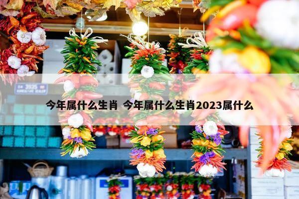 今年属什么生肖 今年属什么生肖2023属什么