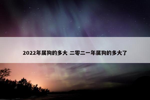 2022年属狗的多大 二零二一年属狗的多大了