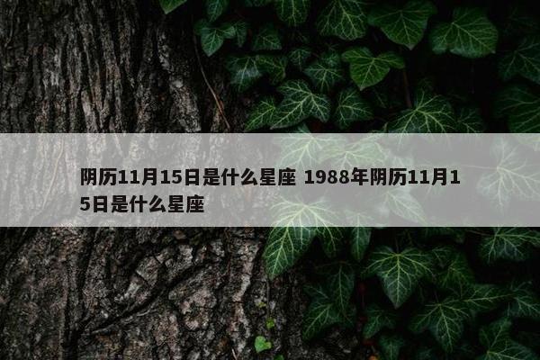 阴历11月15日是什么星座 1988年阴历11月15日是什么星座