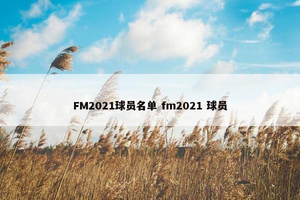 FM2021球员名单 fm2021 球员