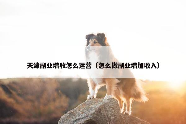 天津副业增收怎么运营（怎么做副业增加收入）