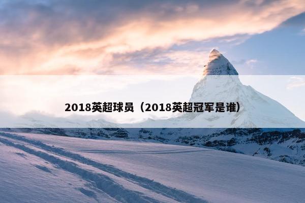 2018英超球员（2018英超冠军是谁）