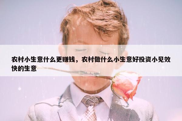 农村小生意什么更赚钱，农村做什么小生意好投资小见效快的生意